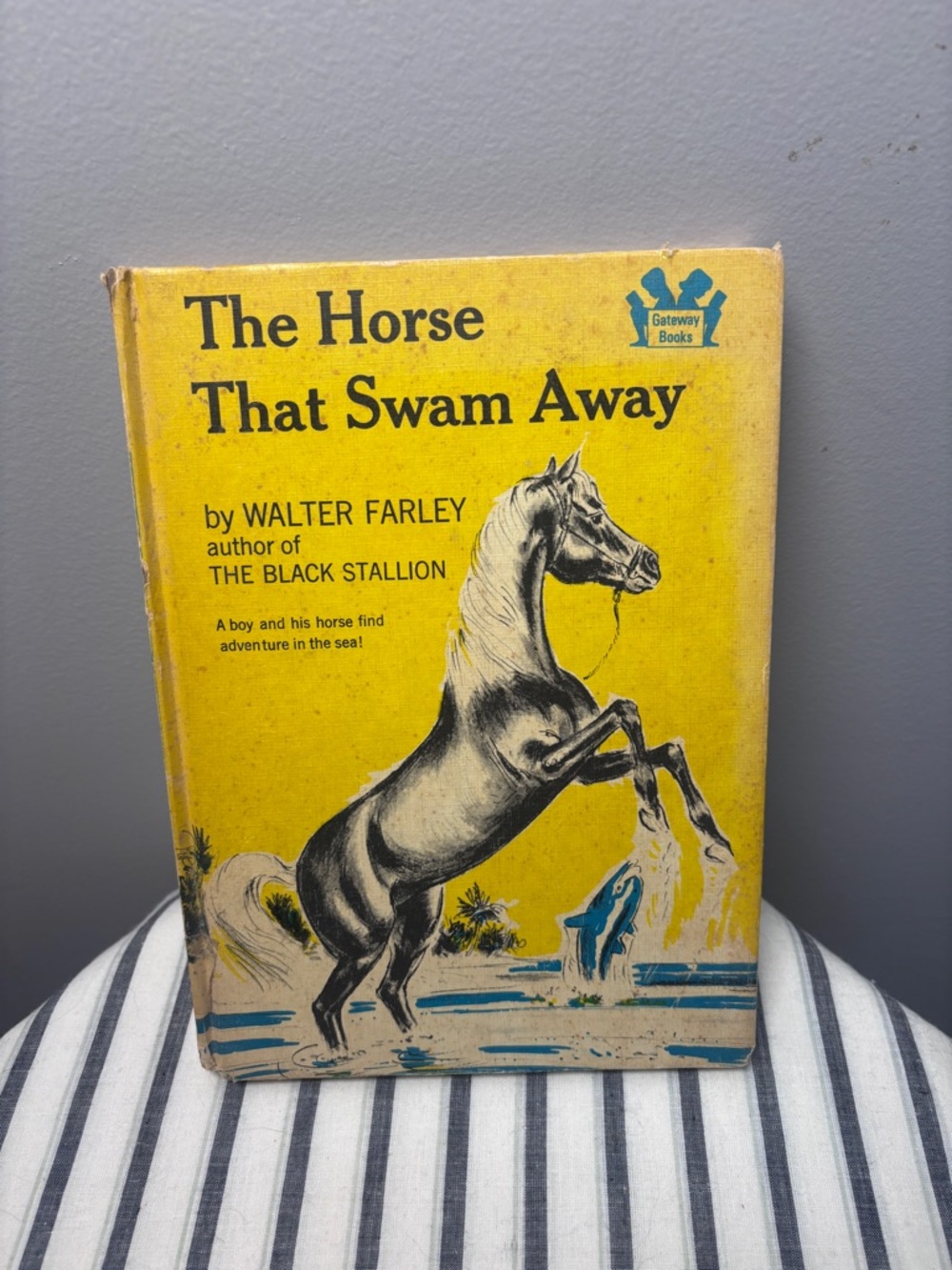 Horse That Swam Away by Walter Farley 1965